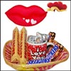 Special Gift 4 Someone Special - Click here to View more details about this Product